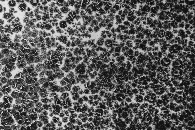 HOME Austin Mold LLC